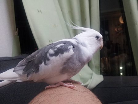 20131010_002436.jpg