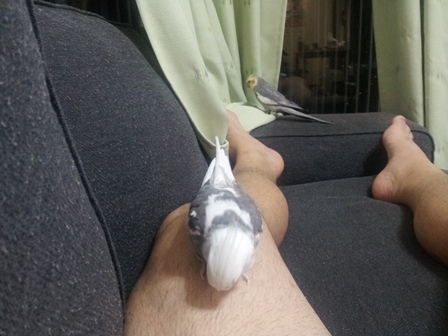 20131010_003604.jpg
