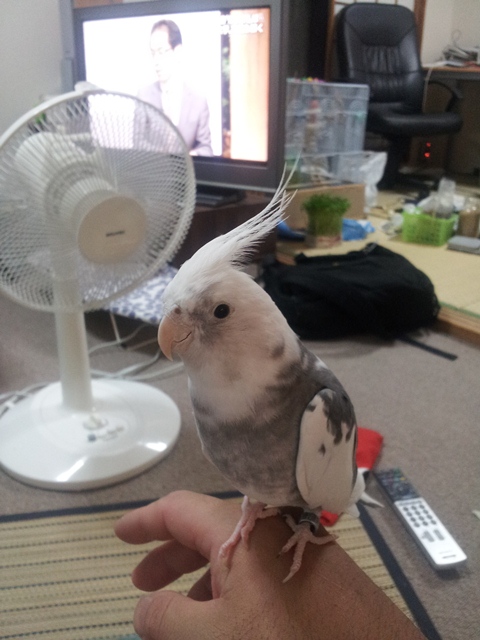 20131018_222938.jpg