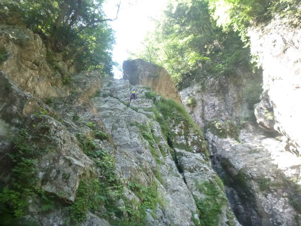 522003_493544980732826_267439369_n.jpg