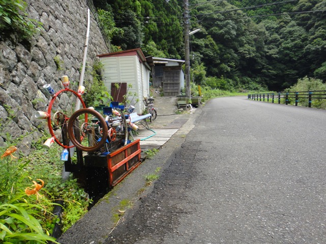 DSC02436.JPG