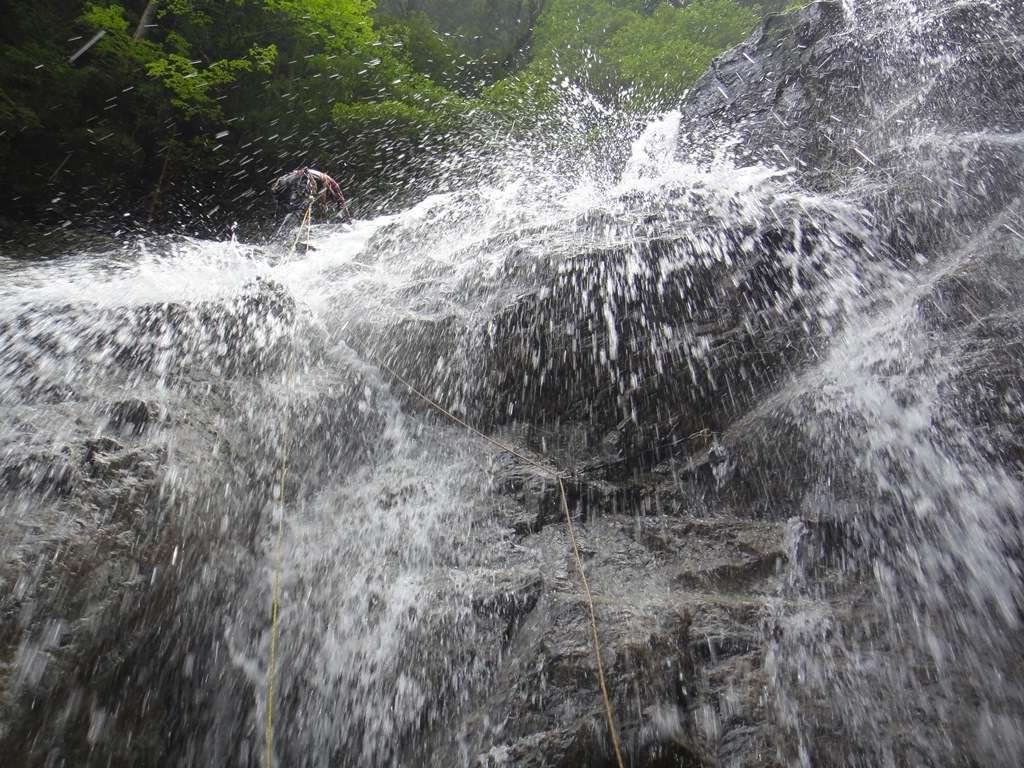 DSC02564.JPG