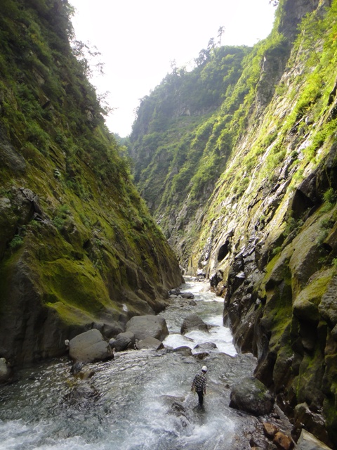 DSC02887.JPG