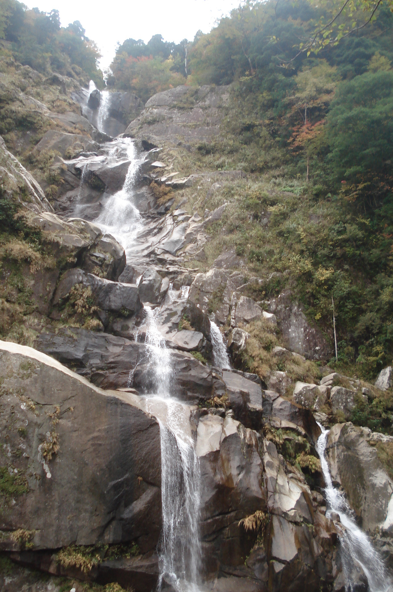 DSC03337.JPG