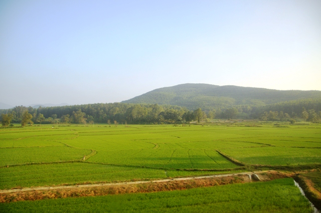 DSC_0379.jpg