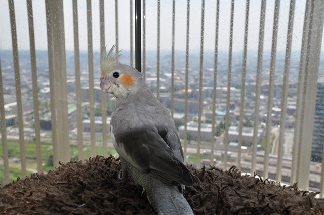 DSC_0958.JPG