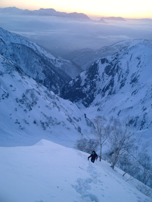 shiratake201.jpg
