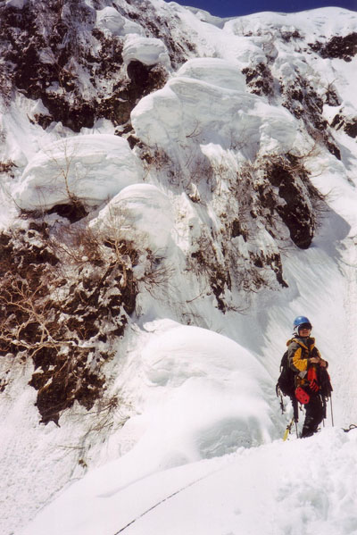 shiratake203.jpg